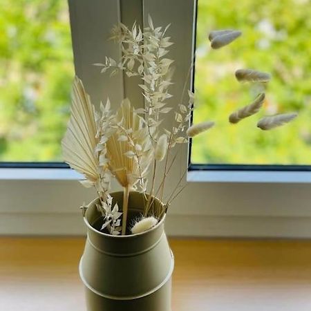 Gemutliche & Komplett Ausgestattete Residenz 埃森 外观 照片